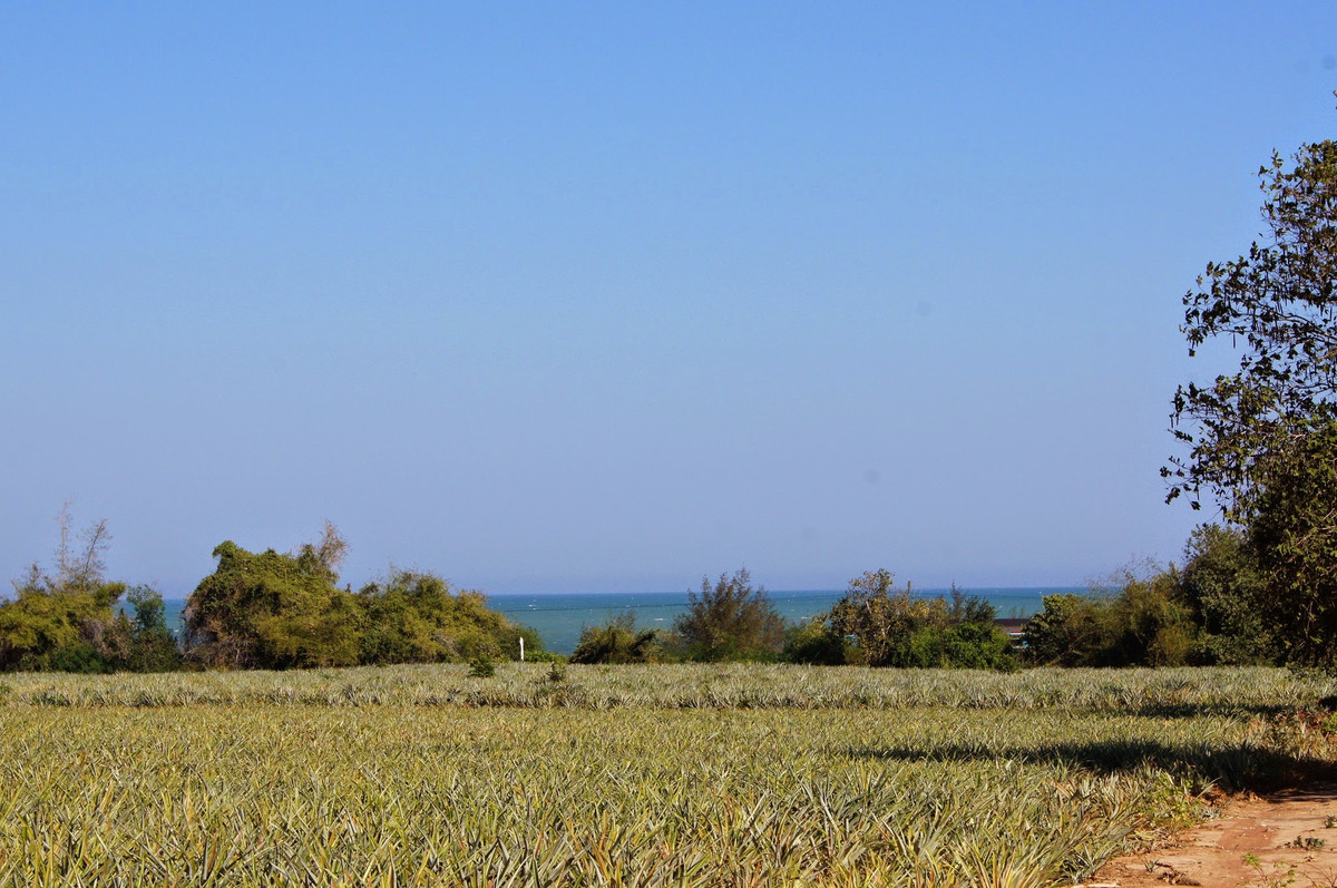 ขายที่ดินหัวหิน ประจวบคีรีขันธ์ : ที่ดินชายทะเล หัวหิน – ประจวบคีรีขันธ์ แปลงใหญ่  สำหรับโครงการที่อยู่อาศัย