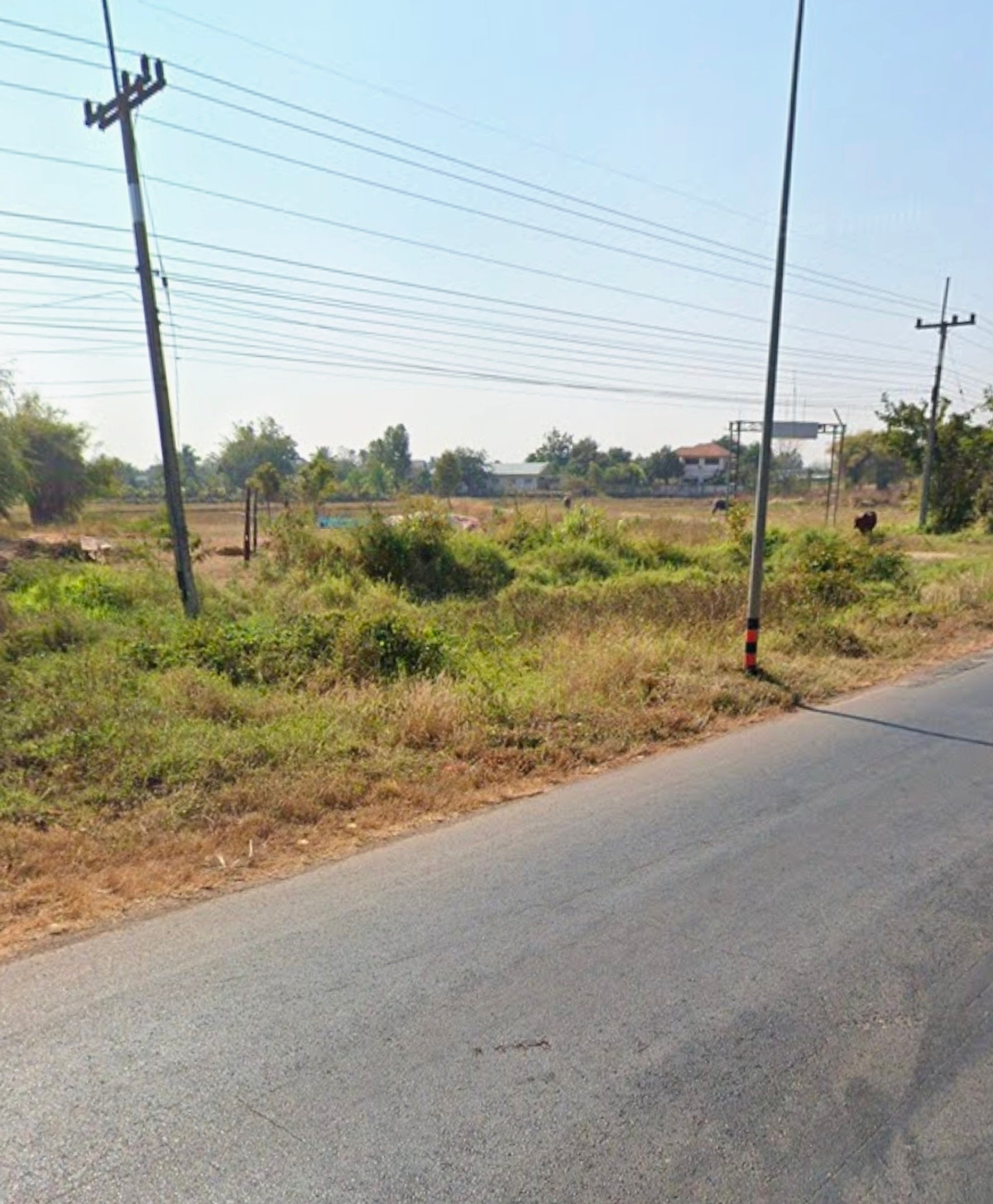 ขายที่ดินขอนแก่น : ขายที่ดิน บ้านทองหลาง-ดอนเงิน ขอนแก่น ติดถนน บ้านทุ่ม-มัญจาฯ เนื้อที่ 1 งาน 86.8 ตรว. ห่างตัวเมืองขอนแก่น 20 นาที