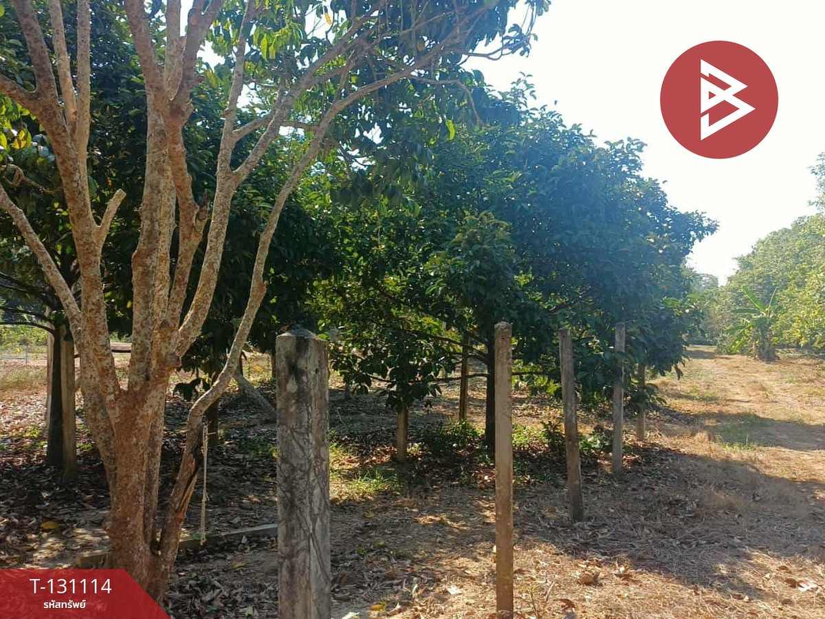 ขายที่ดินระยอง : ขายที่ดิน เนื้อที่ 393.5 ตารางวา อ.เพ ระยอง ทำเลดี