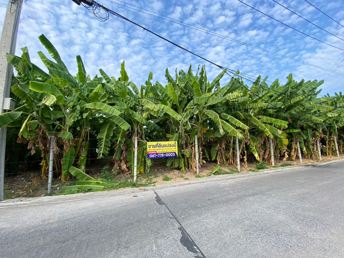 For SaleLandChokchai 4, Ladprao 71, Ladprao 48, : Urgent sale, land already filled. Located in Soi Nakniwat 21 (Soi Lat Phrao 71), through Soi Sangkhomson 28 (Chokchai 4-Sangkhom Road), Lat Phrao Subdistrict, Lat Phrao District, Bangkok. Land size 4 ngan 18 sq m. (1 rai 18 sq m.) Selling price 100,000 ba