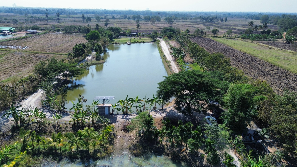 For SaleLandKorat Nakhon Ratchasima : Retirement garden house, mixed rice fields, near the M6 ​​motorway bypass road, area 12-2-70 rai, already developed, with solar cell system.