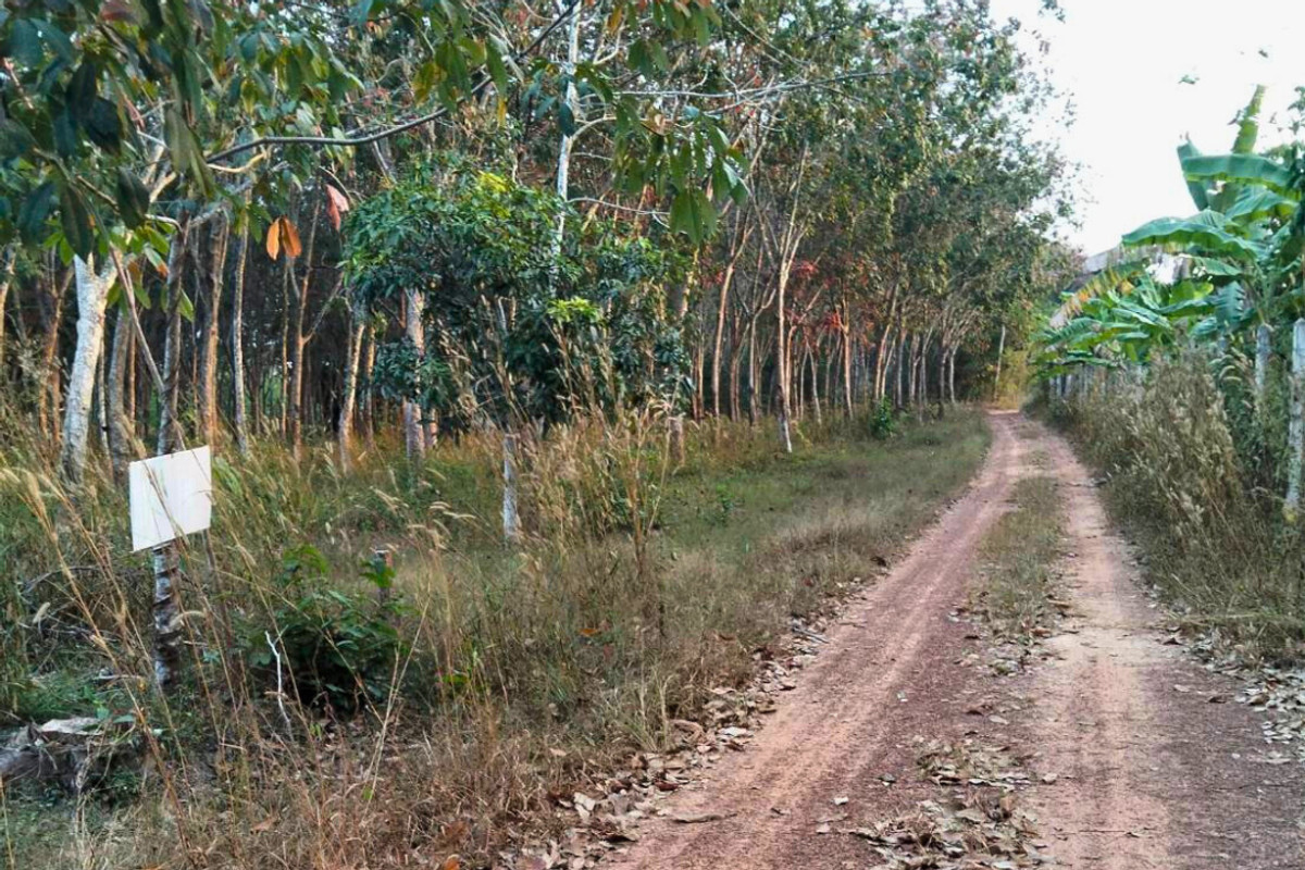 ขายที่ดินระยอง : ที่ดินเปล่า ผืนสวย ราคาดี มีโฉนด