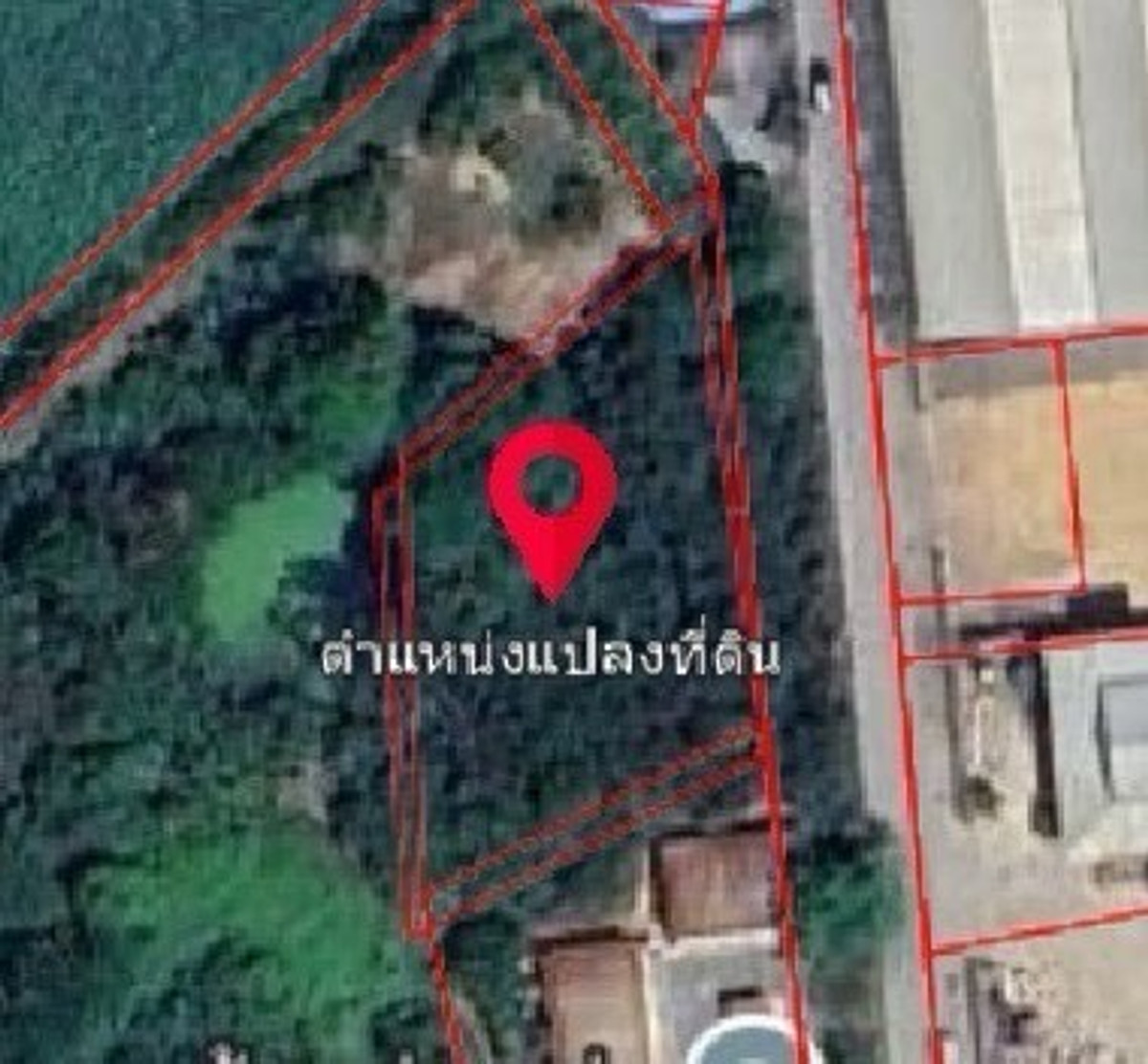 ขายที่ดินนครปฐม : ขายที่ดิน วังตะกู นครปฐม 