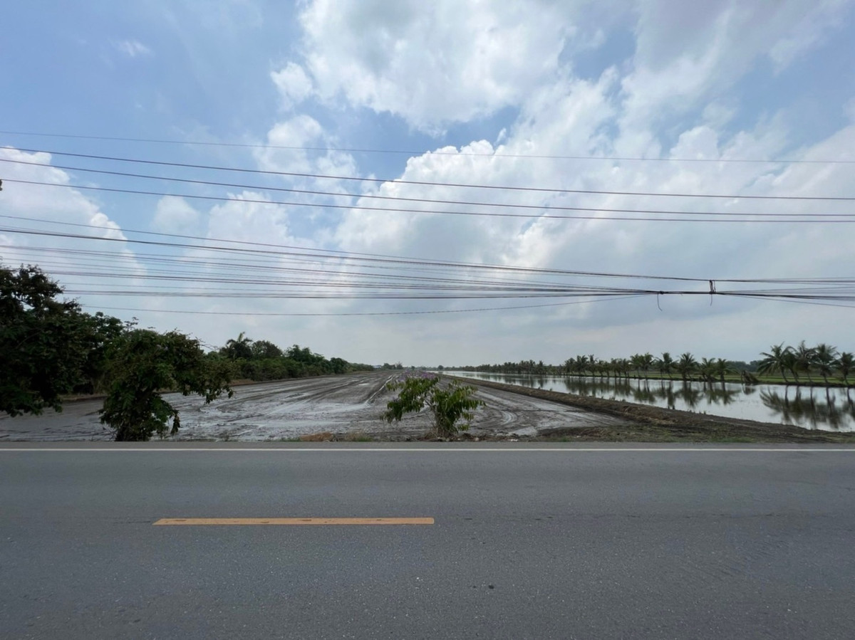 ขายที่ดินพุทธมณฑล ศาลายา : 📣 โอกาสทองของนักพัฒนาอสังหาฯ 🔥 ที่ดินผืนใหญ่ย่านพุทธมณฑล – ศาลายา กว่า 70 ไร่ ผังเขียว ราคาพิเศษ เพียงไร่ละ 3 ล้านบาทเท่านั้น ‼️ เชื่อมมหิดล–เซ็นทรัลศาลายา LC0086