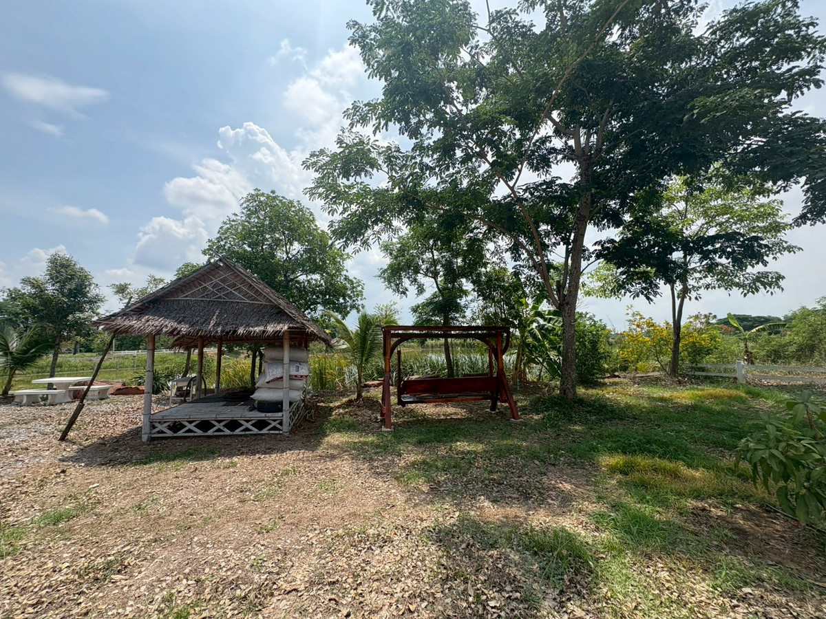 บ้านนครปฐม : 💥 ขายบ้านใหม่บนที่ดินใหญ่  เมืองนครปฐม (ที่ดินเกือบครึ่งไร่กว่าแบบนี้ หายากมาก!)  บรรยากาศเหมือนรีสอร์ทส่วนตัว  ล้อมรอบด้วยต้นไม้ใหญ่ ลมดีทั้งวัน เงียบสงบ เป็นส่วนตัวมาก บ้านตั้งบนที่ดอน น้ำไม่ท่วม