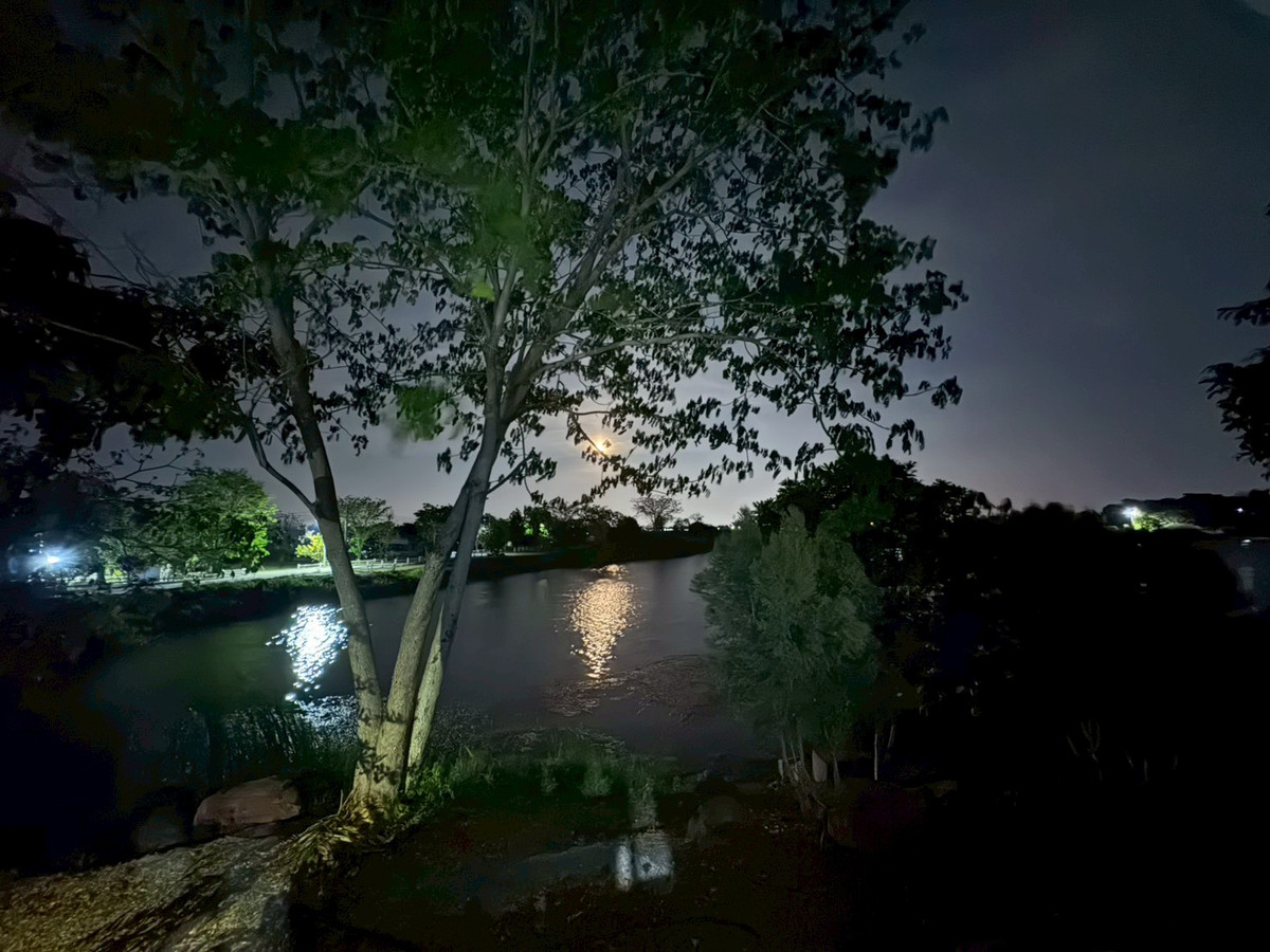 บ้านนครปฐม : 💥 ขายบ้านใหม่บนที่ดินใหญ่  เมืองนครปฐม (ที่ดินเกือบครึ่งไร่กว่าแบบนี้ หายากมาก!)  บรรยากาศเหมือนรีสอร์ทส่วนตัว  ล้อมรอบด้วยต้นไม้ใหญ่ ลมดีทั้งวัน เงียบสงบ เป็นส่วนตัวมาก บ้านตั้งบนที่ดอน น้ำไม่ท่วม