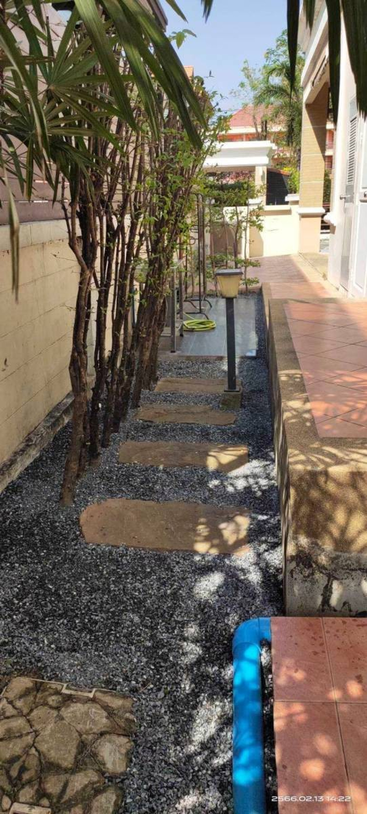 For RentHouseSamut Prakan,Samrong : บ้านให้เช่า  บ้านพิมานดา ซีรีน (วินมิล) (S03-1801) 