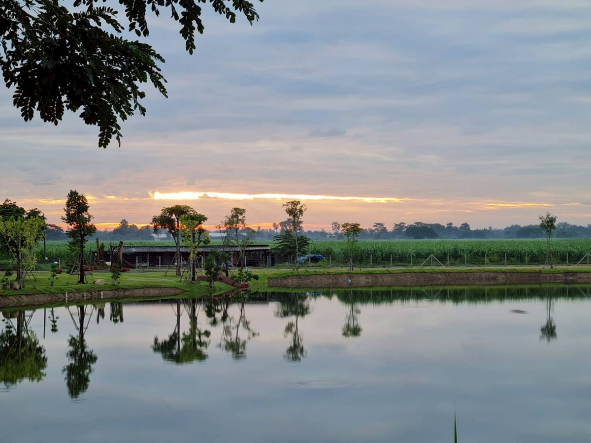 บ้านนครปฐม : 💥 ขายบ้านใหม่บนที่ดินใหญ่  เมืองนครปฐม (ที่ดินเกือบครึ่งไร่กว่าแบบนี้ หายากมาก!)  บรรยากาศเหมือนรีสอร์ทส่วนตัว  ล้อมรอบด้วยต้นไม้ใหญ่ ลมดีทั้งวัน เงียบสงบ เป็นส่วนตัวมาก บ้านตั้งบนที่ดอน น้ำไม่ท่วม