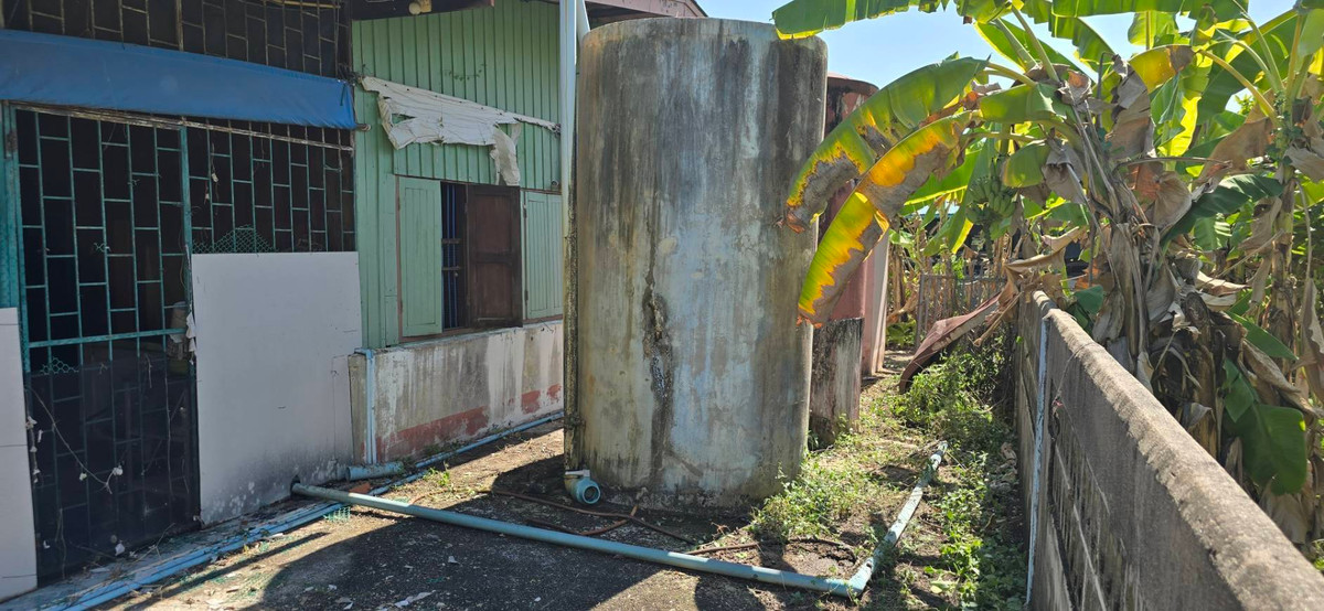 ขายบ้านฉะเชิงเทรา : 95719 - ขาย ขายบ้านสวนพื้นที่กว้าง 370 ตร.ว. บรรยากาศร่มรื่น ต.หนองแหน อ.พนมสารคาม จ.ฉะเชิงเทรา