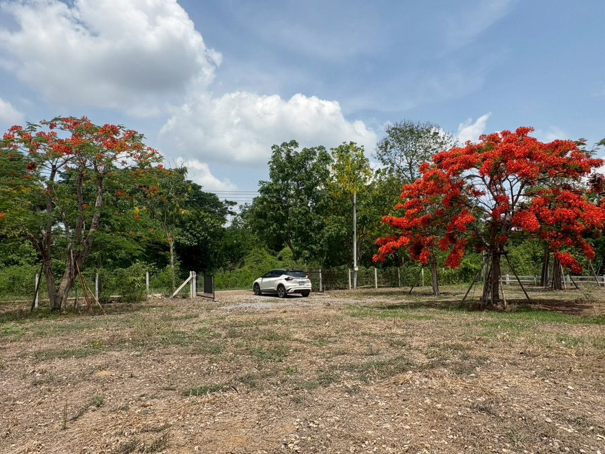 บ้านนครปฐม : 💥 ขายบ้านใหม่บนที่ดินใหญ่  เมืองนครปฐม (ที่ดินเกือบครึ่งไร่กว่าแบบนี้ หายากมาก!)  บรรยากาศเหมือนรีสอร์ทส่วนตัว  ล้อมรอบด้วยต้นไม้ใหญ่ ลมดีทั้งวัน เงียบสงบ เป็นส่วนตัวมาก บ้านตั้งบนที่ดอน น้ำไม่ท่วม