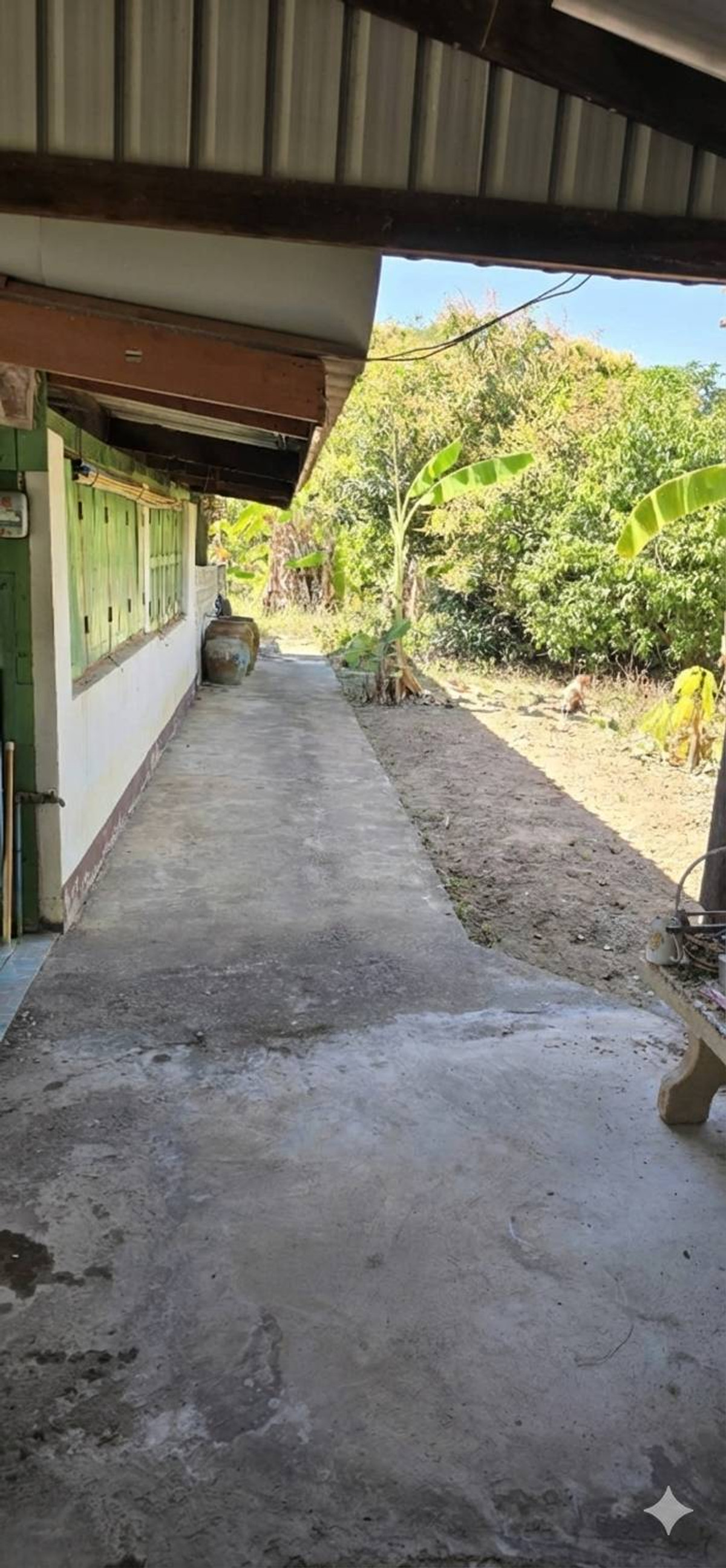 ขายบ้านฉะเชิงเทรา : 95719 - ขาย ขายบ้านสวนพื้นที่กว้าง 370 ตร.ว. บรรยากาศร่มรื่น ต.หนองแหน อ.พนมสารคาม จ.ฉะเชิงเทรา