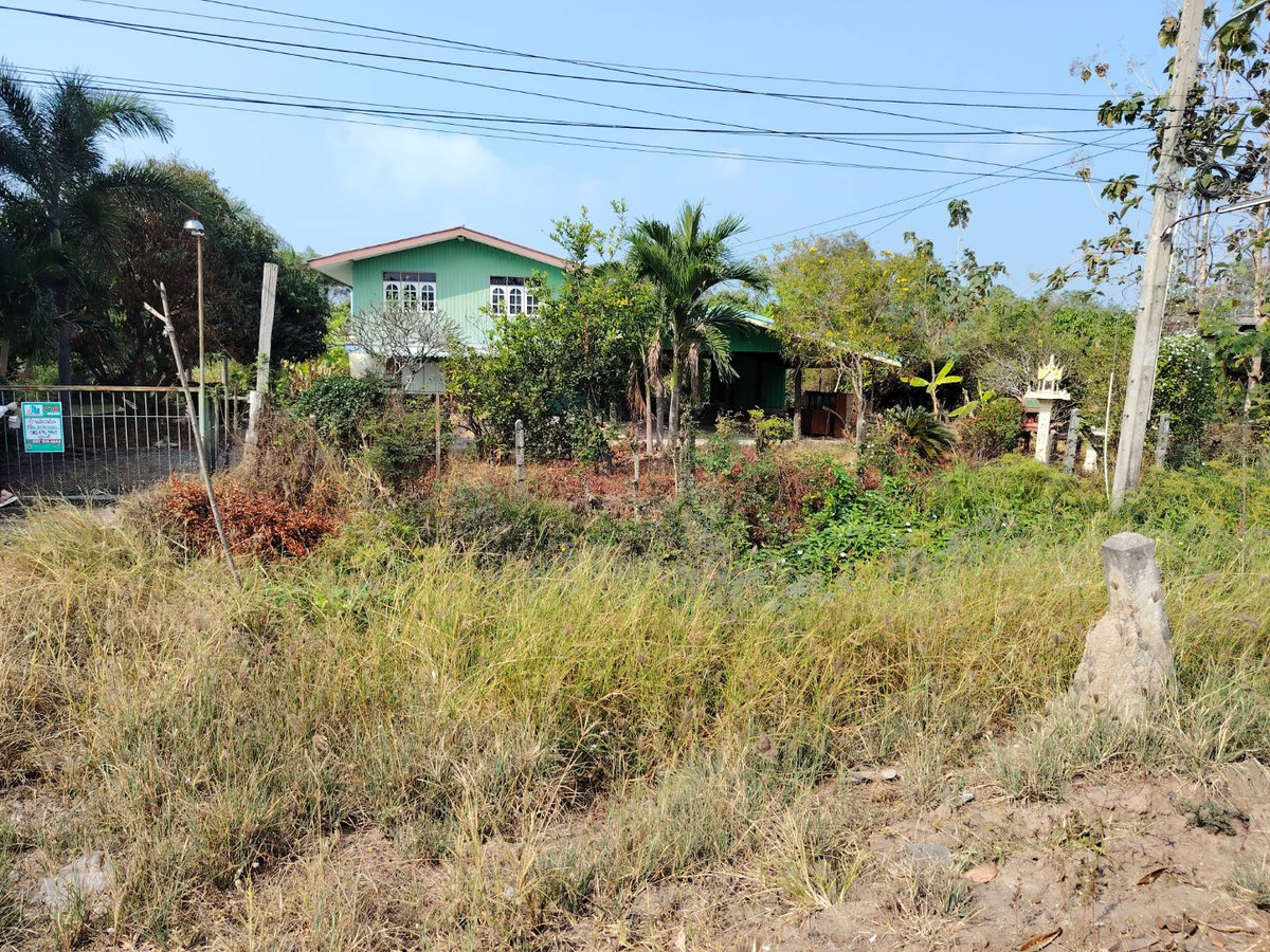 ขายบ้านฉะเชิงเทรา : 95719 - ขาย ขายบ้านสวนพื้นที่กว้าง 370 ตร.ว. บรรยากาศร่มรื่น ต.หนองแหน อ.พนมสารคาม จ.ฉะเชิงเทรา