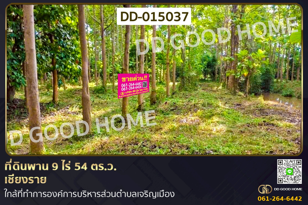 For SaleLandChiang Rai : DD-015037 Land plot of 9 rai 54 square wah in Phan, Chiang Rai, near Charoen Mueang Subdistrict Administrative Organization.