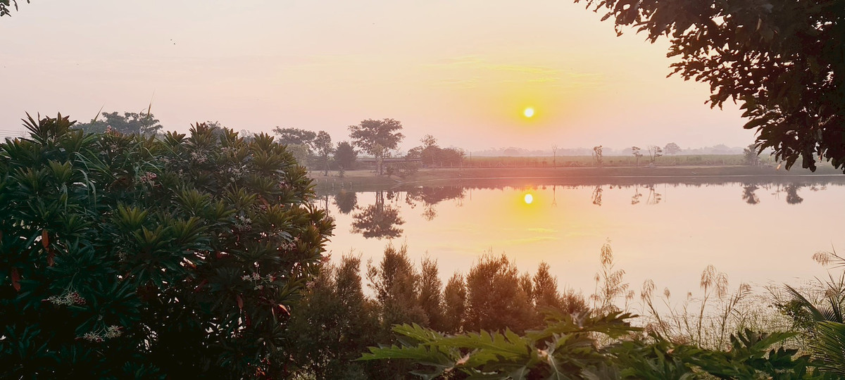 บ้านนครปฐม : 💥 ขายบ้านใหม่บนที่ดินใหญ่  เมืองนครปฐม (ที่ดินเกือบครึ่งไร่กว่าแบบนี้ หายากมาก!)  บรรยากาศเหมือนรีสอร์ทส่วนตัว  ล้อมรอบด้วยต้นไม้ใหญ่ ลมดีทั้งวัน เงียบสงบ เป็นส่วนตัวมาก บ้านตั้งบนที่ดอน น้ำไม่ท่วม