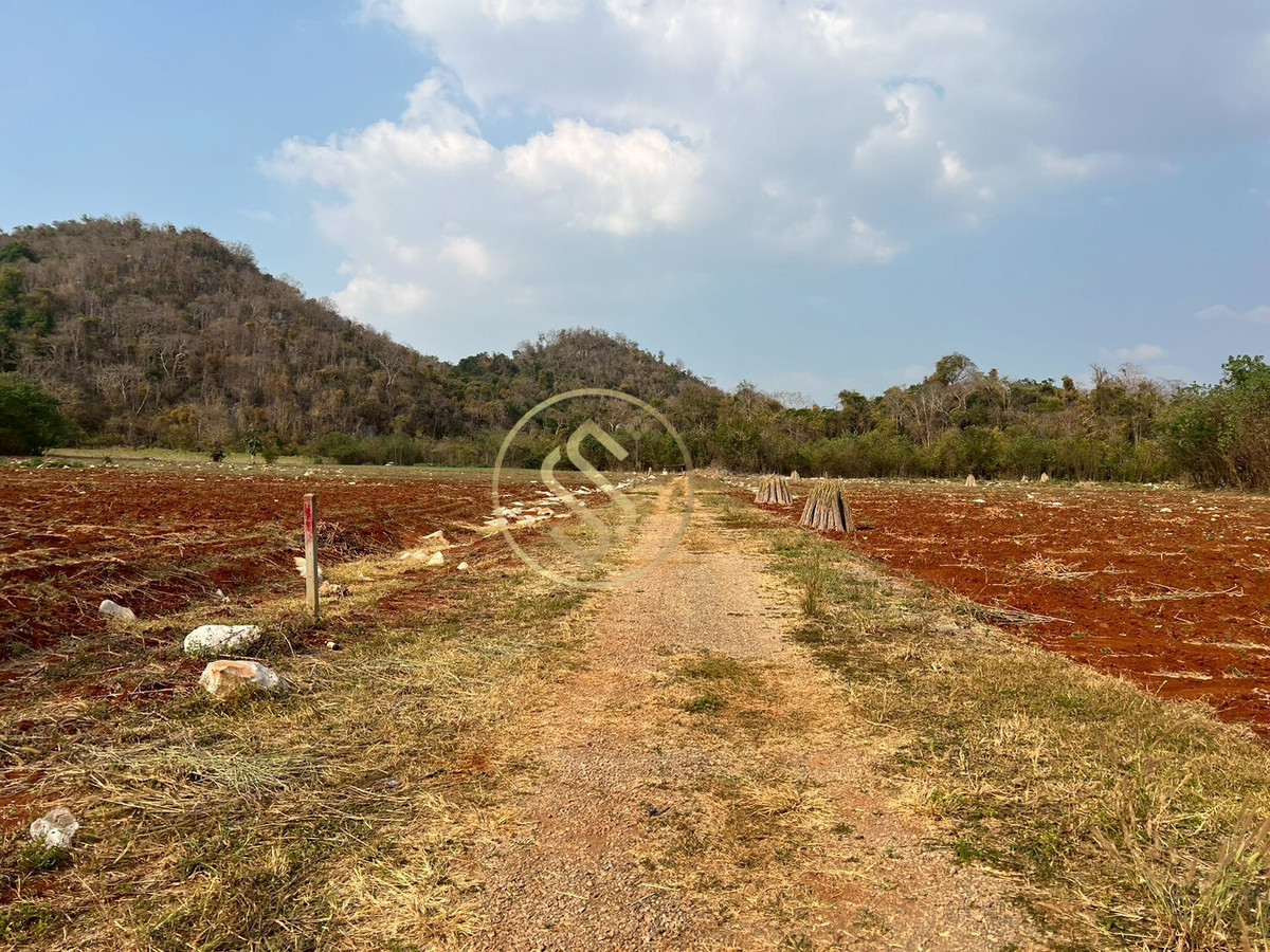 ขายที่ดินปากช่อง เขาใหญ่ : ขายที่ดินเขาใหญ่ ที่ดินสวยใจกลางหุบเขา  ที่ดินติดภูเขา ตำบลวังกะทะ อำเภอปากช่อง จังหวัดนครราชสีมา 