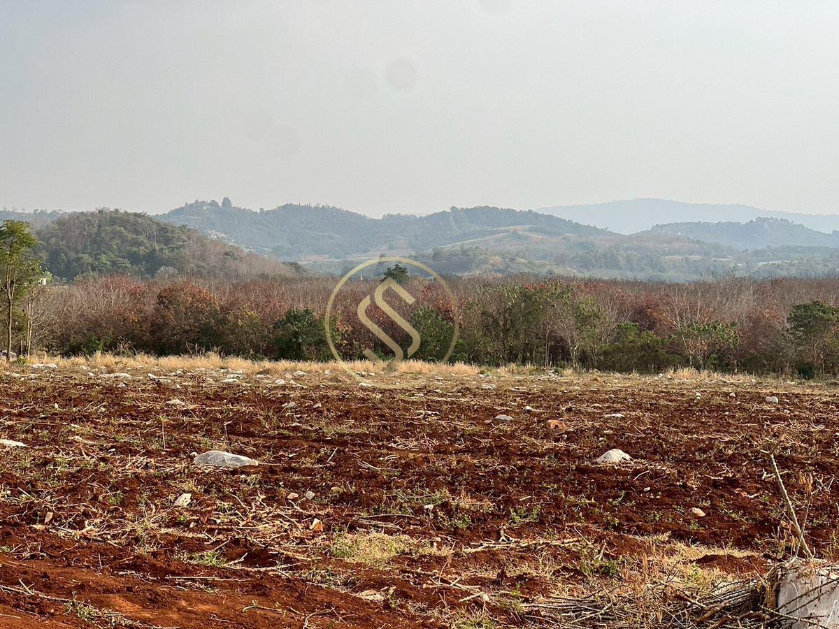 For SaleLandPak Chong KhaoYai : Khao Yai land for sale Beautiful land in the middle of the valley  Land next to a mountain, Wang Katha Subdistrict, Pak Chong District, Nakhon Ratchasima Province.