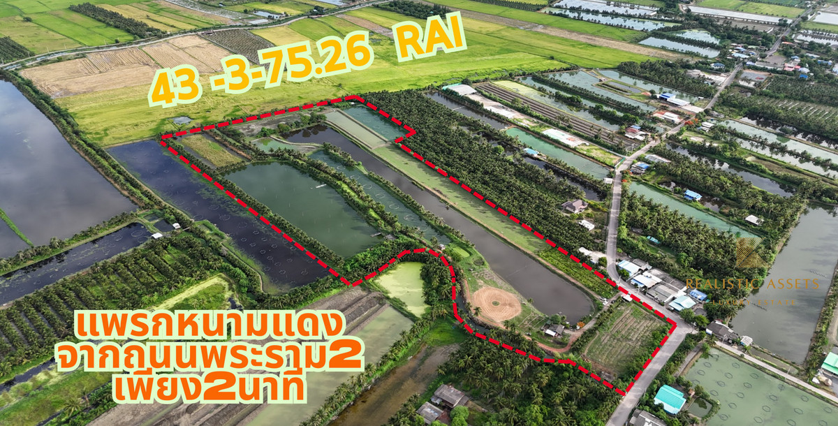 For SaleLandSamut Songkhram : Large land for sale, 43 rai 3 ngan 75.26 sq m, Amphawa, Samut Songkhram Province.