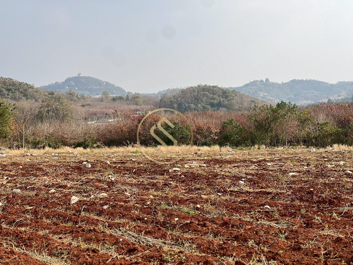 ขายที่ดินปากช่อง เขาใหญ่ : ขายที่ดินเขาใหญ่ ที่ดินสวยใจกลางหุบเขา  ที่ดินติดภูเขา ตำบลวังกะทะ อำเภอปากช่อง จังหวัดนครราชสีมา 