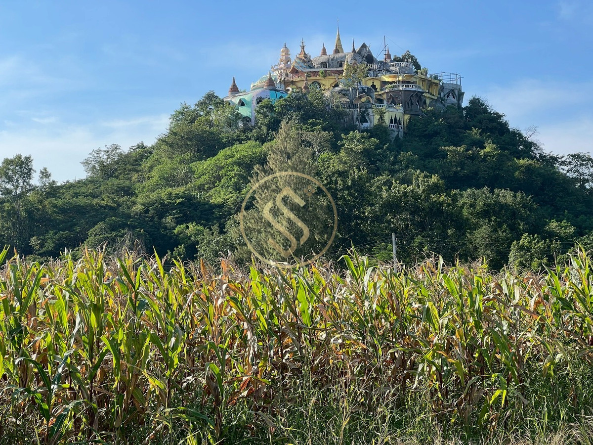 ขายที่ดินปากช่อง เขาใหญ่ : ขายที่ดินเปล่า เขาใหญ่ ถ.ธนะรัชต์ อยู่ติดกับโครงการบ้านหรู มิราเคิล วี เขาใหญ่ 88 ไร่เศษ 