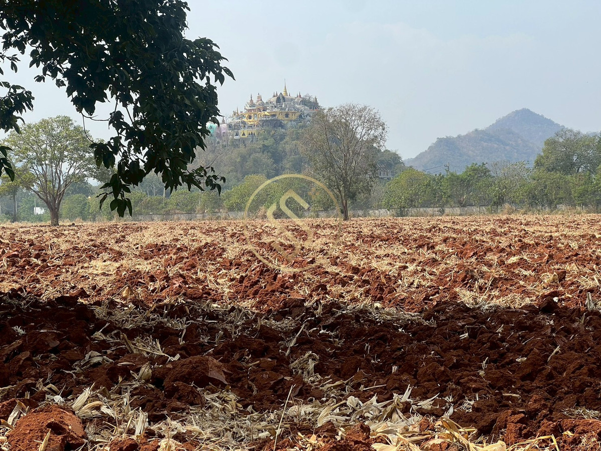 ขายที่ดินปากช่อง เขาใหญ่ : ขายที่ดินเปล่า เขาใหญ่ ถ.ธนะรัชต์ อยู่ติดกับโครงการบ้านหรู มิราเคิล วี เขาใหญ่ 88 ไร่เศษ 