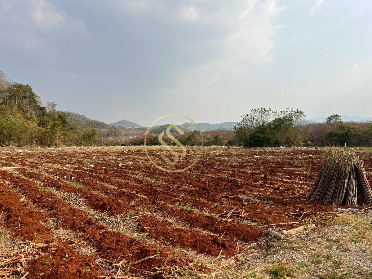 ขายที่ดินปากช่อง เขาใหญ่ : ขายที่ดินเขาใหญ่ ที่ดินสวยใจกลางหุบเขา  ที่ดินติดภูเขา ตำบลวังกะทะ อำเภอปากช่อง จังหวัดนครราชสีมา 