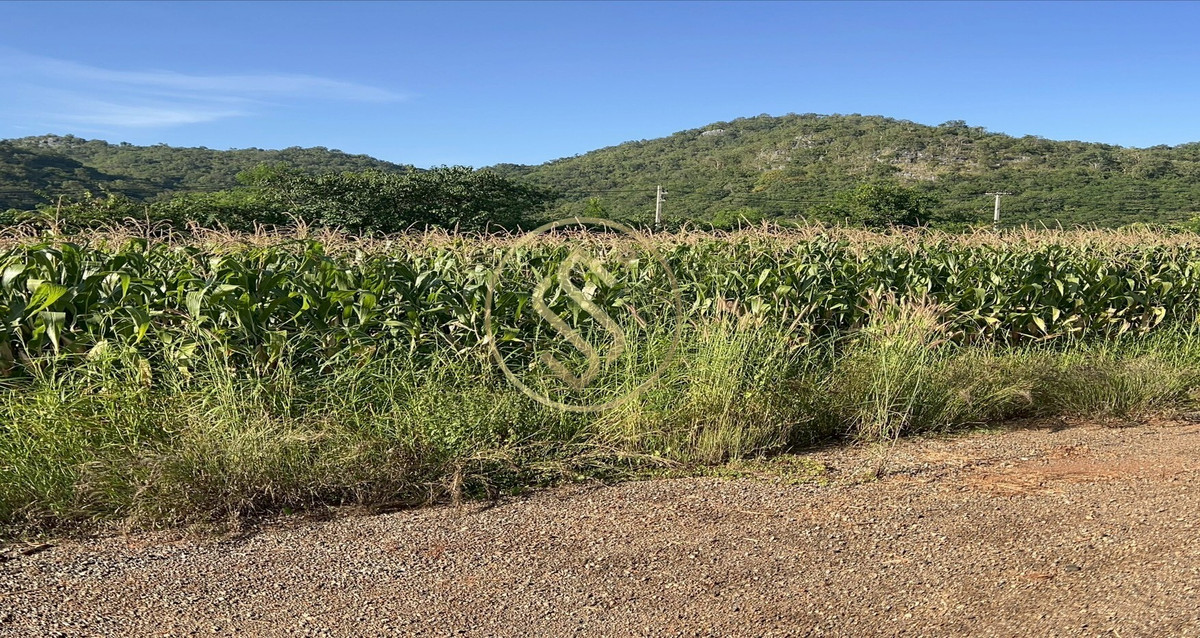 ขายที่ดินปากช่อง เขาใหญ่ : ขายที่ดินเปล่า เขาใหญ่ ถ.ธนะรัชต์ อยู่ติดกับโครงการบ้านหรู มิราเคิล วี เขาใหญ่ 88 ไร่เศษ 