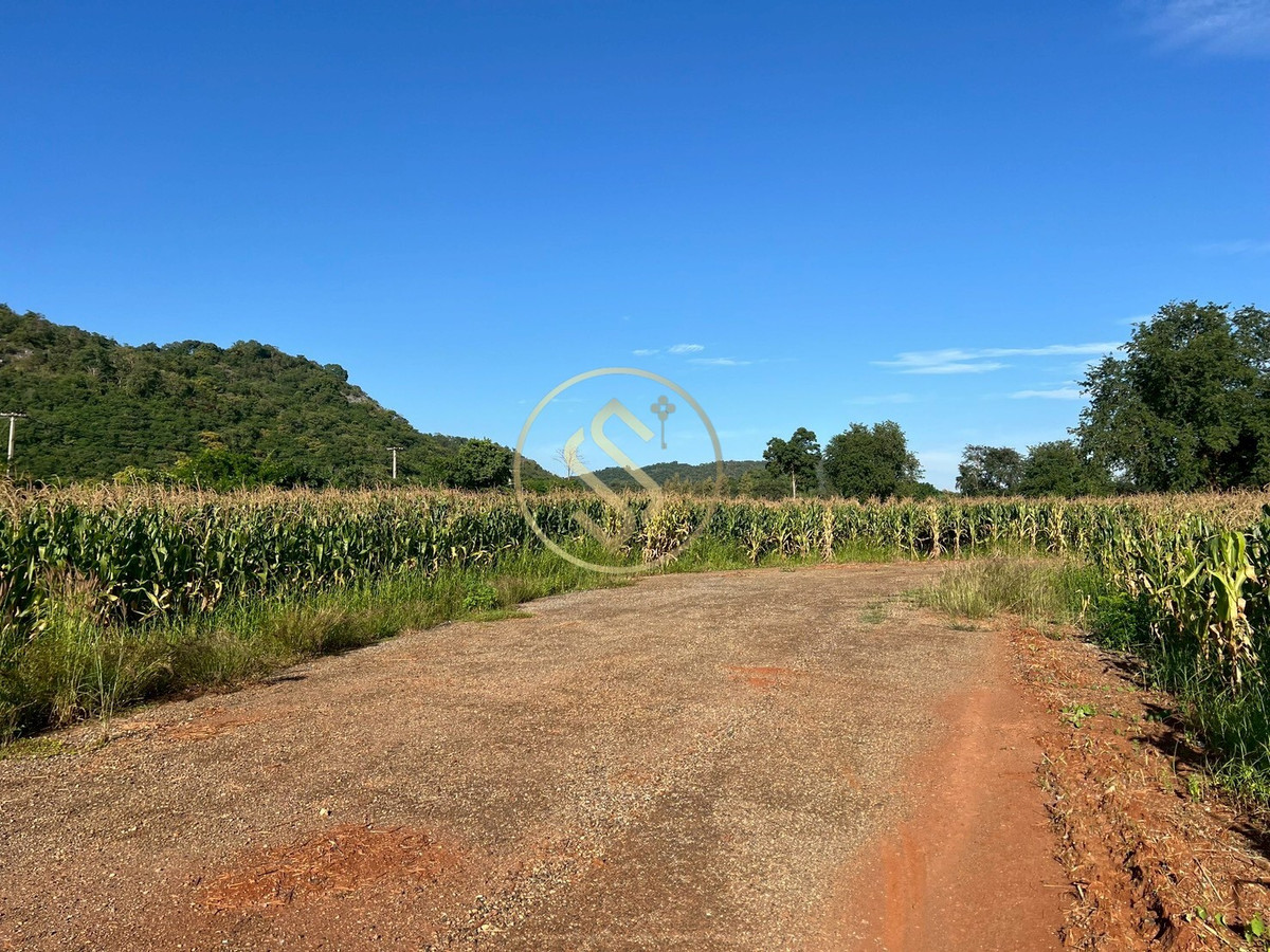 ขายที่ดินปากช่อง เขาใหญ่ : ขายที่ดินเปล่า เขาใหญ่ ถ.ธนะรัชต์ อยู่ติดกับโครงการบ้านหรู มิราเคิล วี เขาใหญ่ 88 ไร่เศษ 