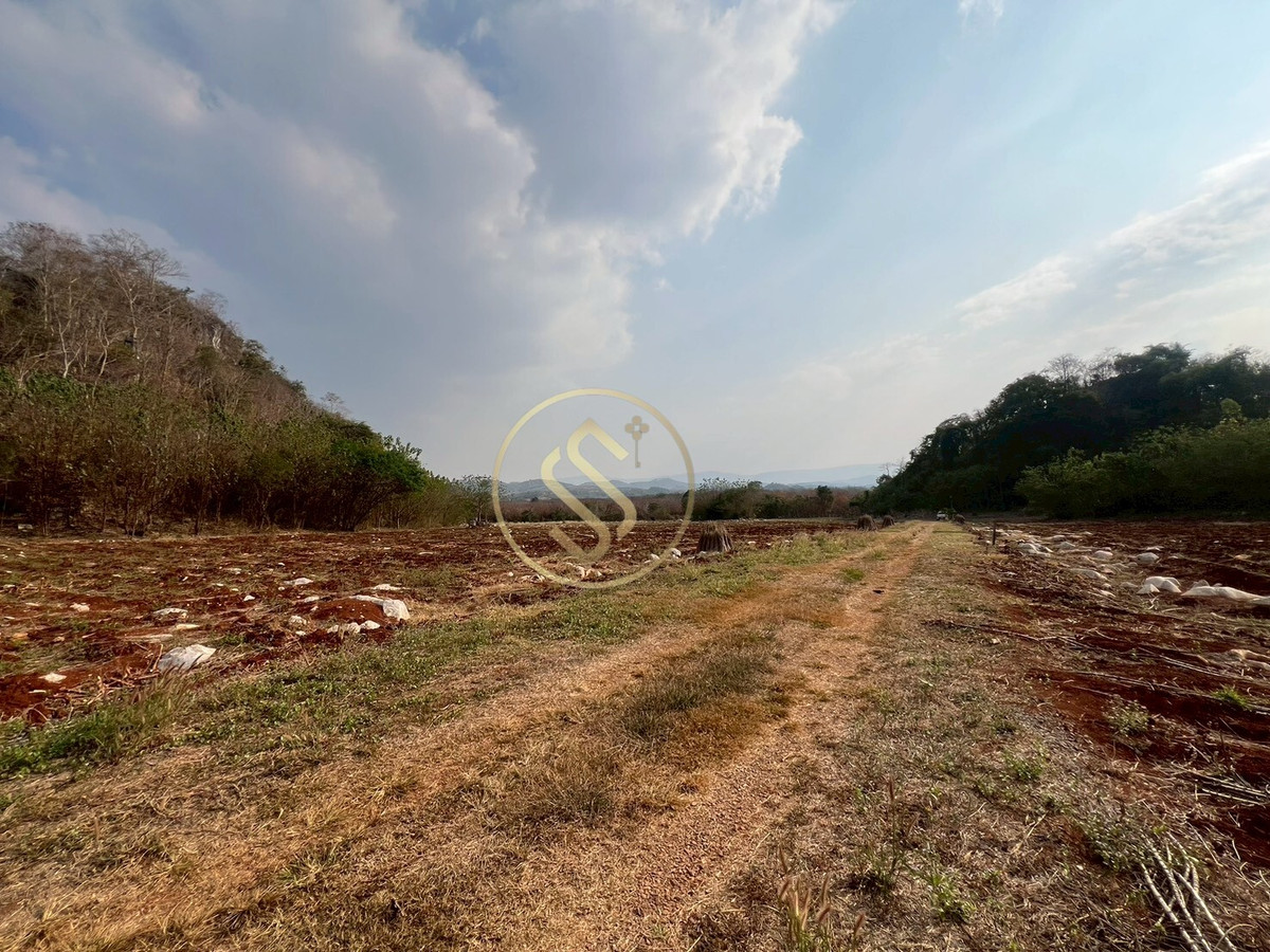 ขายที่ดินปากช่อง เขาใหญ่ : ขายที่ดินเขาใหญ่ ที่ดินสวยใจกลางหุบเขา  ที่ดินติดภูเขา ตำบลวังกะทะ อำเภอปากช่อง จังหวัดนครราชสีมา 