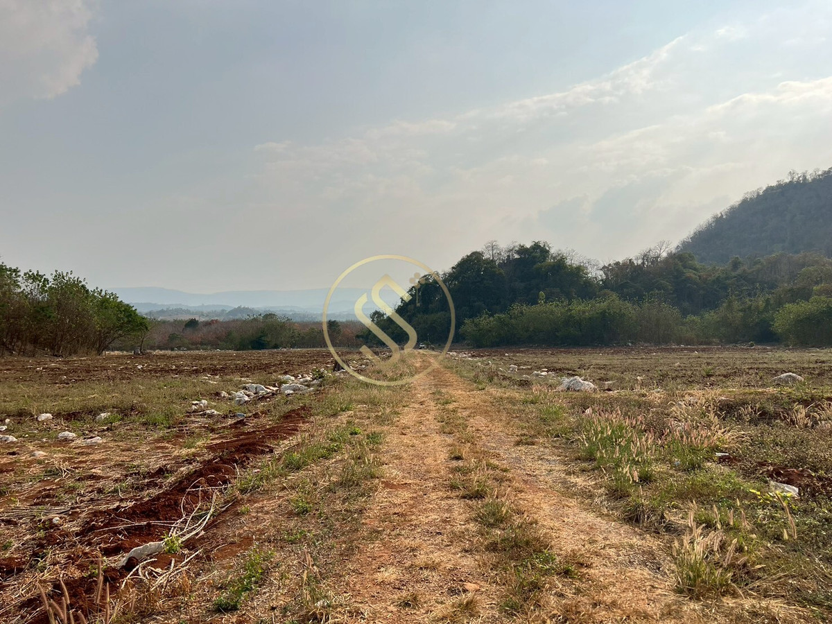 ขายที่ดินปากช่อง เขาใหญ่ : ขายที่ดินเขาใหญ่ ที่ดินสวยใจกลางหุบเขา  ที่ดินติดภูเขา ตำบลวังกะทะ อำเภอปากช่อง จังหวัดนครราชสีมา 