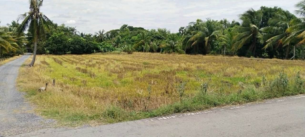 ขายที่ดินมีนบุรี-ร่มเกล้า : ที่ดินแปลงใหญ่ติดคลอง หนองจอก หน้ากว้างพิเศษ เหมาะพัฒนาและถือครองระยะยาว
