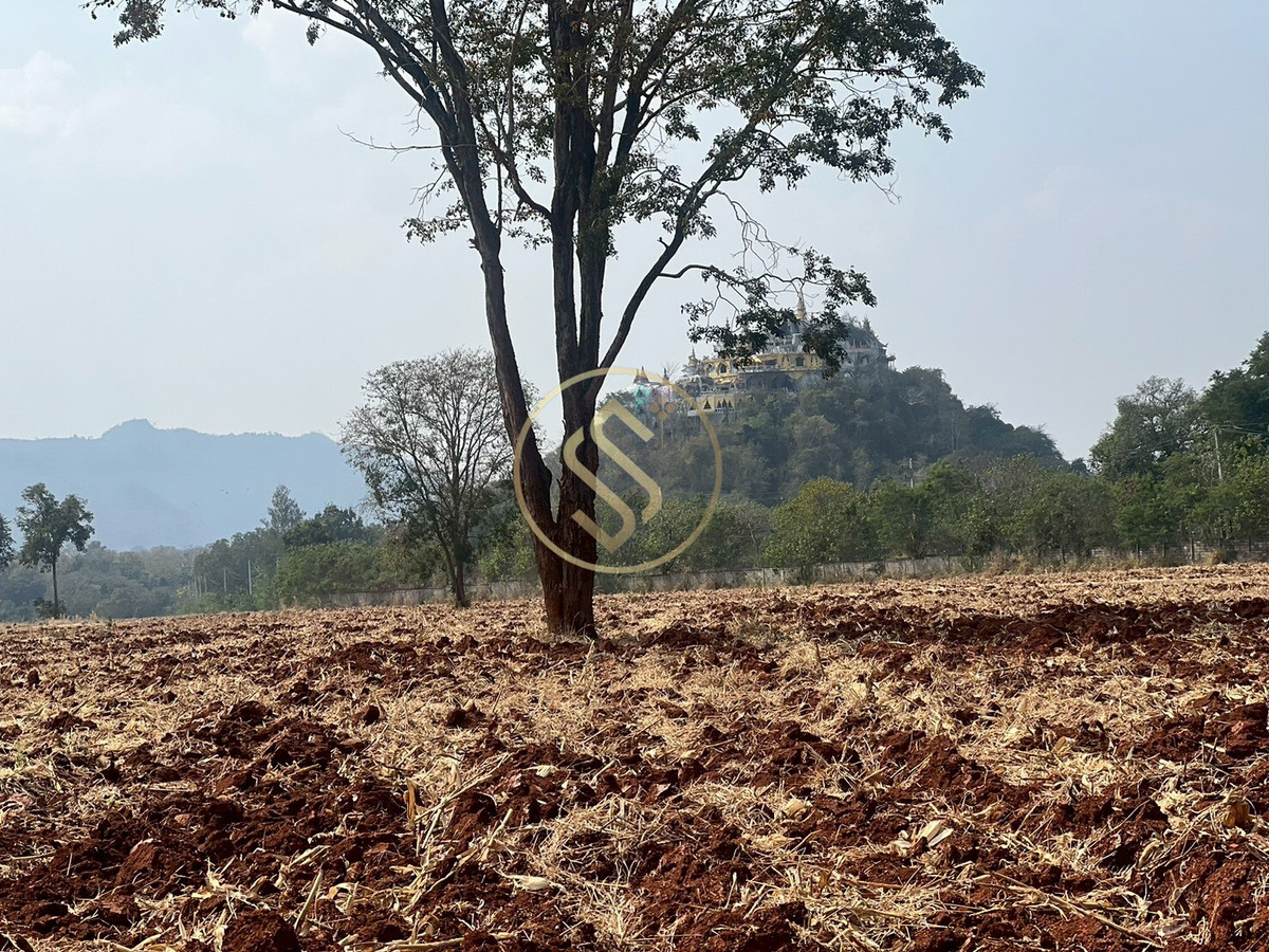 ขายที่ดินปากช่อง เขาใหญ่ : ขายที่ดินเปล่า เขาใหญ่ ถ.ธนะรัชต์ อยู่ติดกับโครงการบ้านหรู มิราเคิล วี เขาใหญ่ 88 ไร่เศษ 