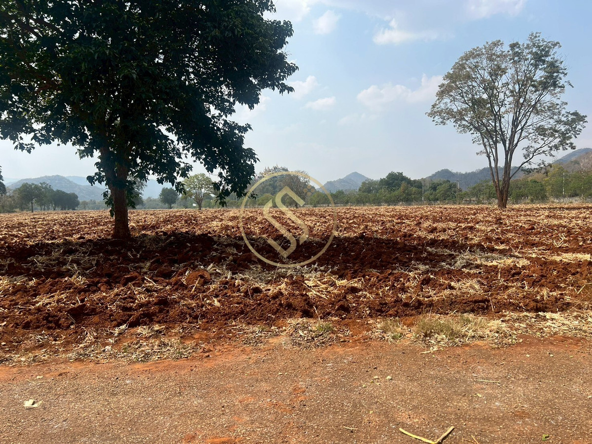 ขายที่ดินปากช่อง เขาใหญ่ : ขายที่ดินเปล่า เขาใหญ่ ถ.ธนะรัชต์ อยู่ติดกับโครงการบ้านหรู มิราเคิล วี เขาใหญ่ 88 ไร่เศษ 