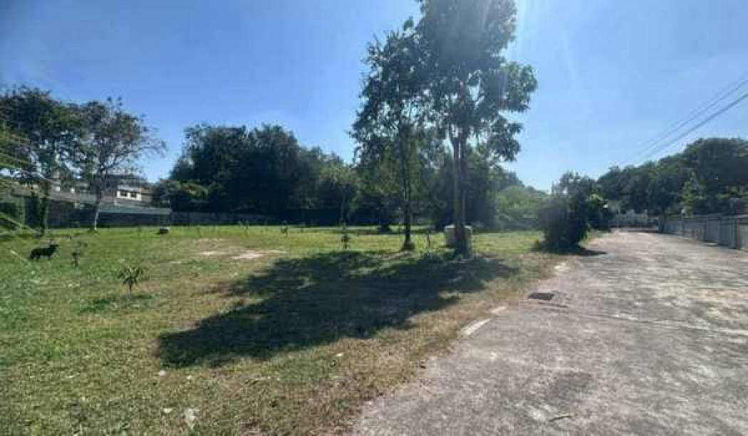 ให้เช่าที่ดินพัทยา บางแสน ชลบุรี สัตหีบ : ให้เช่า ที่ดิน ฝั่งขาเข้า กทม. ถนนบายพาสชลบุรี 1 ไร่ 1 งาน 43 ตรว