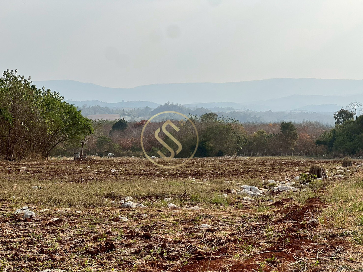 ขายที่ดินปากช่อง เขาใหญ่ : ขายที่ดินเขาใหญ่ ที่ดินสวยใจกลางหุบเขา  ที่ดินติดภูเขา ตำบลวังกะทะ อำเภอปากช่อง จังหวัดนครราชสีมา 