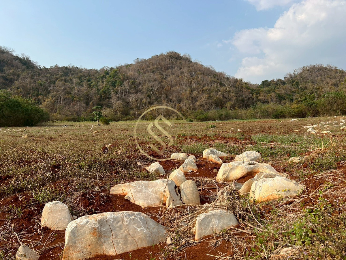 ขายที่ดินปากช่อง เขาใหญ่ : ขายที่ดินเขาใหญ่ ที่ดินสวยใจกลางหุบเขา  ที่ดินติดภูเขา ตำบลวังกะทะ อำเภอปากช่อง จังหวัดนครราชสีมา 