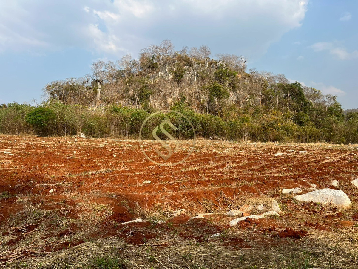 ขายที่ดินปากช่อง เขาใหญ่ : ขายที่ดินเขาใหญ่ ที่ดินสวยใจกลางหุบเขา  ที่ดินติดภูเขา ตำบลวังกะทะ อำเภอปากช่อง จังหวัดนครราชสีมา 