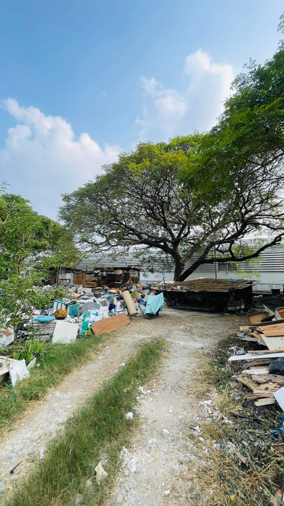 For SaleLandOnnut, Udomsuk : Land for sale On Nut 46