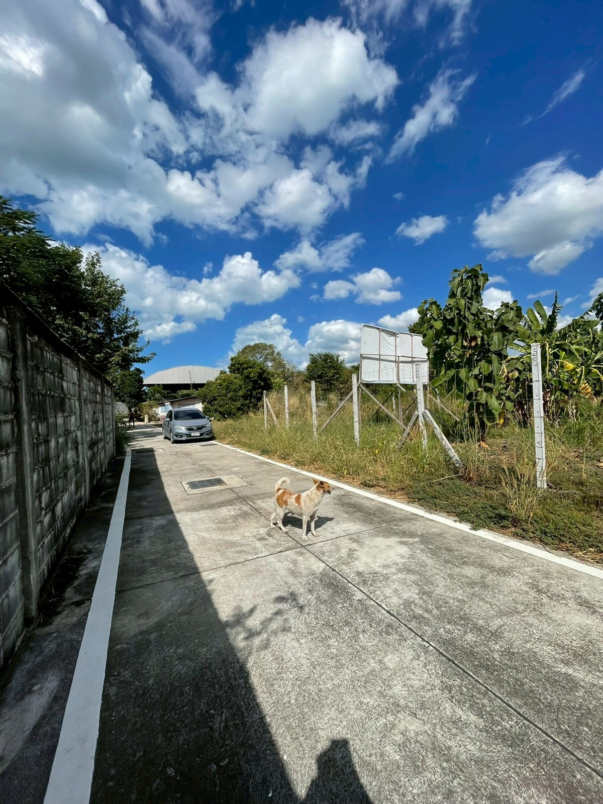 ขายที่ดินพัทยา บางแสน ชลบุรี สัตหีบ : ผืนใหญ่ เกือบ 1 ไร่ หลังวัดกระทิงลาย เงียบสงบ 🔥 ที่ดิน 379 ตร.วา กระทิงลาย / (ขาย), Land 379 sq.wah Krating Lai / (FOR SALE) BEWN039