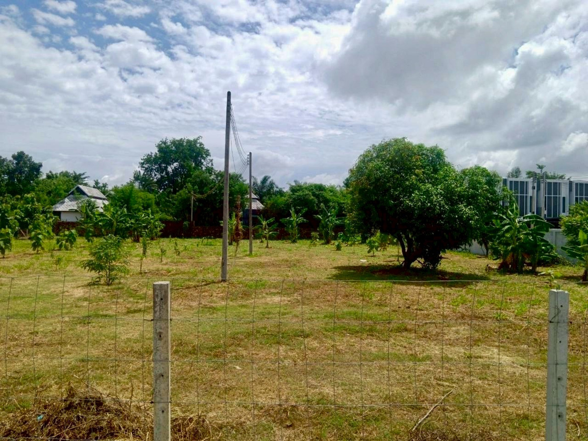 ขายที่ดินพัทยา บางแสน ชลบุรี สัตหีบ : ผืนใหญ่ เกือบ 1 ไร่ หลังวัดกระทิงลาย เงียบสงบ 🔥 ที่ดิน 379 ตร.วา กระทิงลาย / (ขาย), Land 379 sq.wah Krating Lai / (FOR SALE) BEWN039