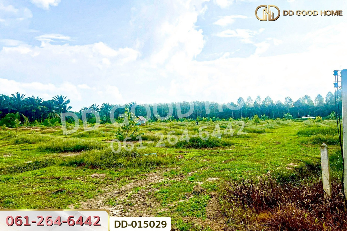 ขายที่ดินนครศรีธรรมราช : DD-015029 ที่ดินสิชล 9 ไร่ 356 ตร.ว.นครศรีธรรมราช ใกล้หาดท่าหมาก