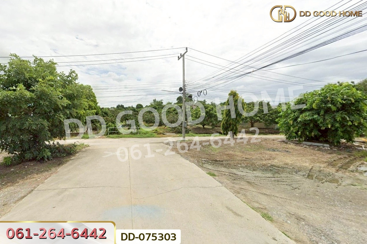 ขายที่ดินลำพูน : DD-075303 ที่ดินริมปิง 2 ไร่ 116 ตร.ว. ลำพูน ใกล้วัดพระธาตุหริภุญชัย วรมหาวิหาร