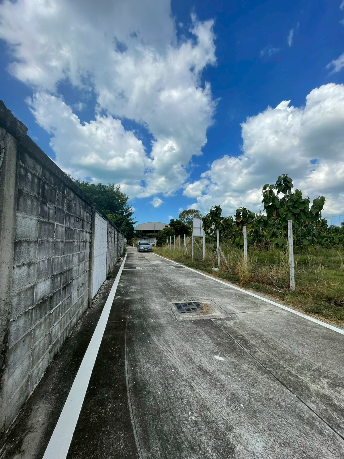 ขายที่ดินพัทยา บางแสน ชลบุรี สัตหีบ : ผืนใหญ่ เกือบ 1 ไร่ หลังวัดกระทิงลาย เงียบสงบ 🔥 ที่ดิน 379 ตร.วา กระทิงลาย / (ขาย), Land 379 sq.wah Krating Lai / (FOR SALE) BEWN039