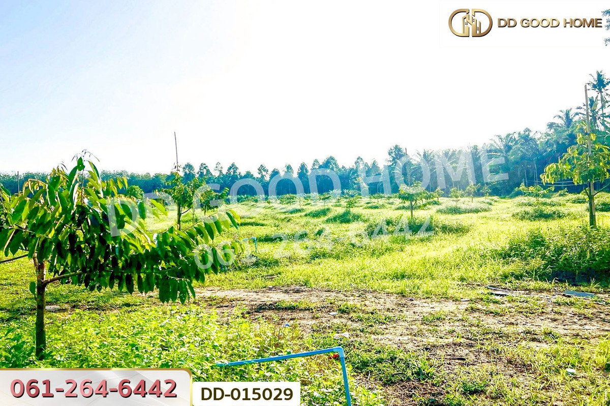 ขายที่ดินนครศรีธรรมราช : DD-015029 ที่ดินสิชล 9 ไร่ 356 ตร.ว.นครศรีธรรมราช ใกล้หาดท่าหมาก