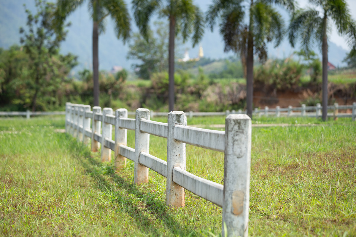 For SaleLandPhetchabun : Beautiful plot of land for sale in Khao Kho.