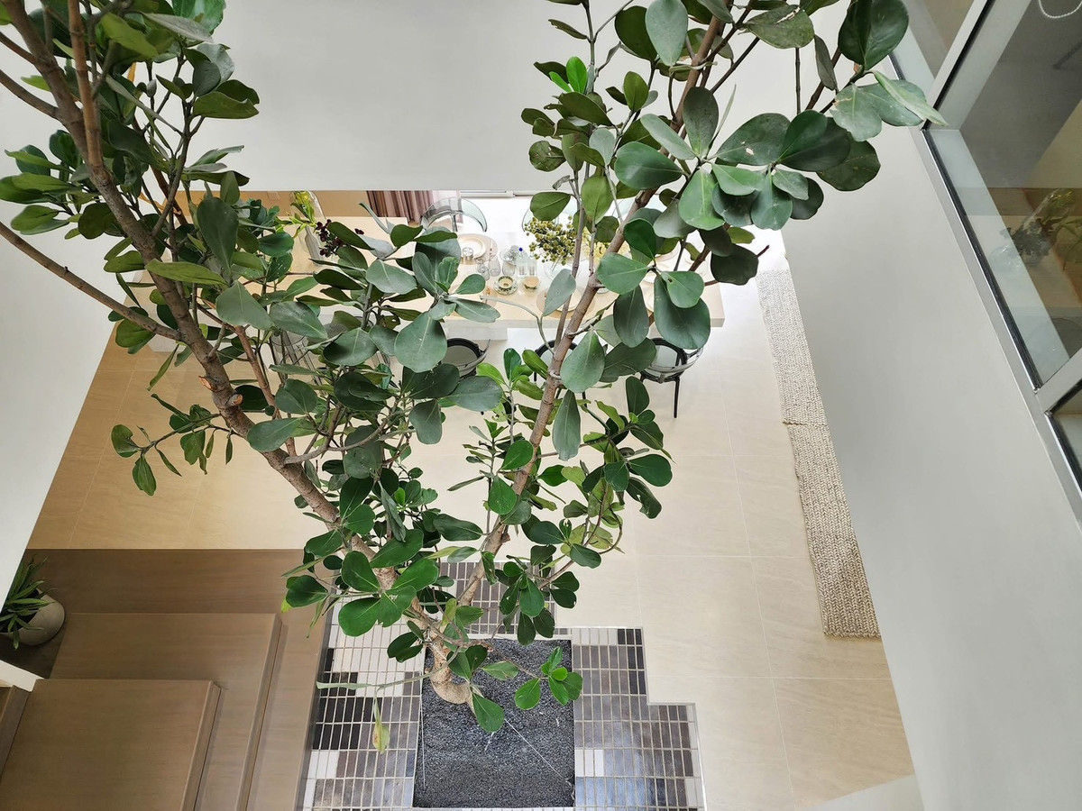 ขายบ้านพระราม 9 เพชรบุรีตัดใหม่ RCA : 🔥𝑳𝒂𝒔𝒕 𝟐 𝑼𝒏𝒊𝒕 ‼️  บ้านตัวอย่างตกแต่งพร้อมอยู่กลางเมือง ลดจาก 80 กว่าล้าน 🏷️ เหลือเพียง 58.9 ล้านบาท 🎉