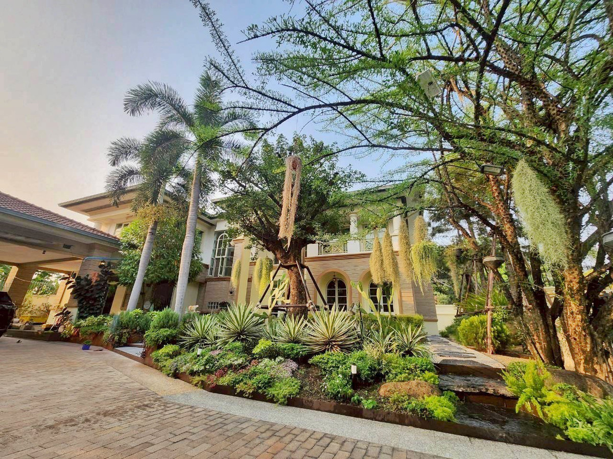 ขายบ้านบางแค เพชรเกษม : ขายบ้านเดี่ยวหรู หลังมุม ลดาวัลย์ ปิ่นเกล้า–เพชรเกษม 190 ตร.วา | ต้นโครงการ | รีโนเวทใหม่ | ใกล้โรงเรียนนานาชาติ