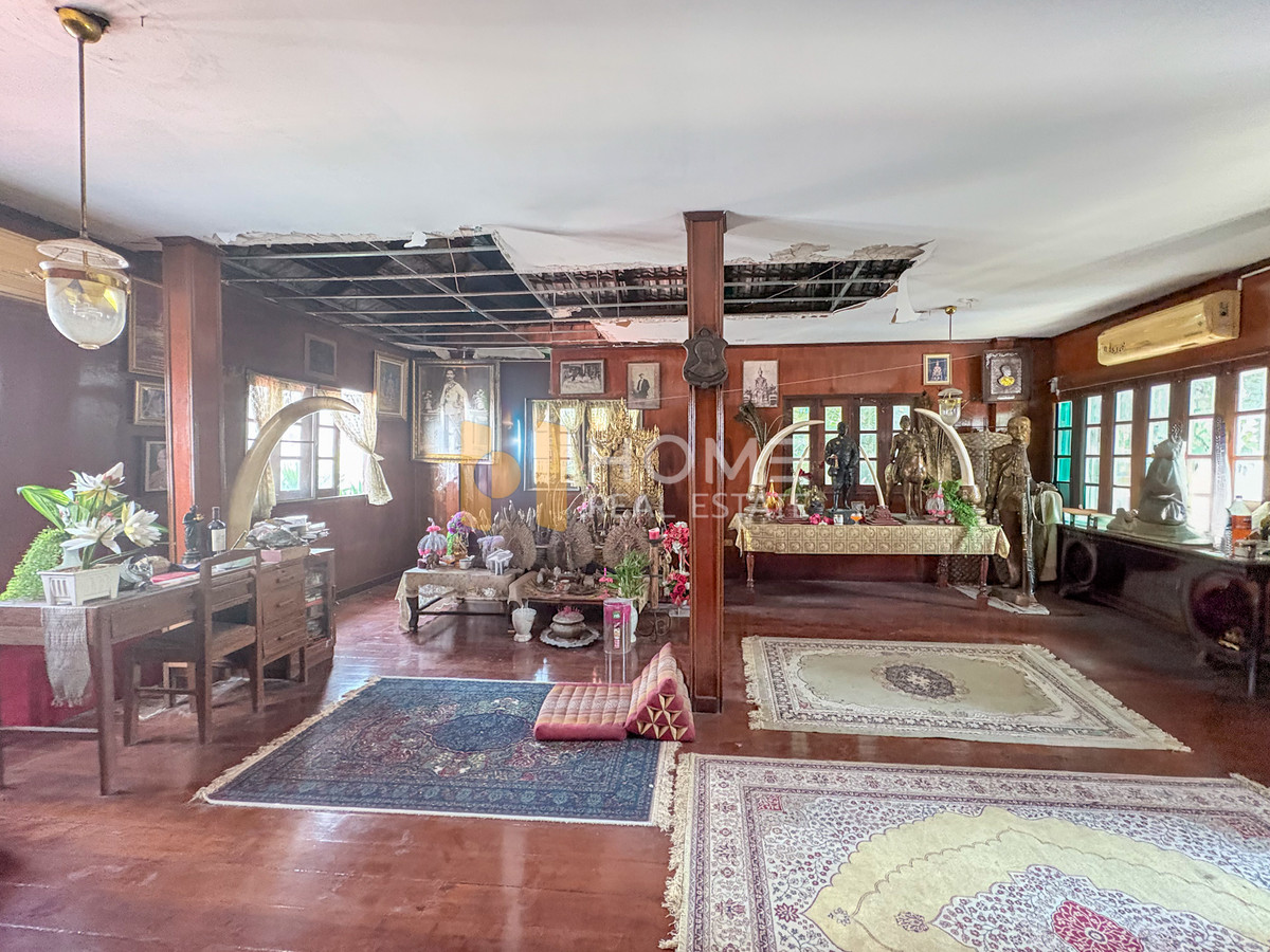 ขายที่ดินสะพานควาย จตุจักร : ผืนสวยใจกลางเมือง ✨ ที่ดิน ซอยอินทามระ 29 แยก 1 / (ขาย), Land Soi Inthamara 29 Yeak 1 / (FOR SALE) TPM314