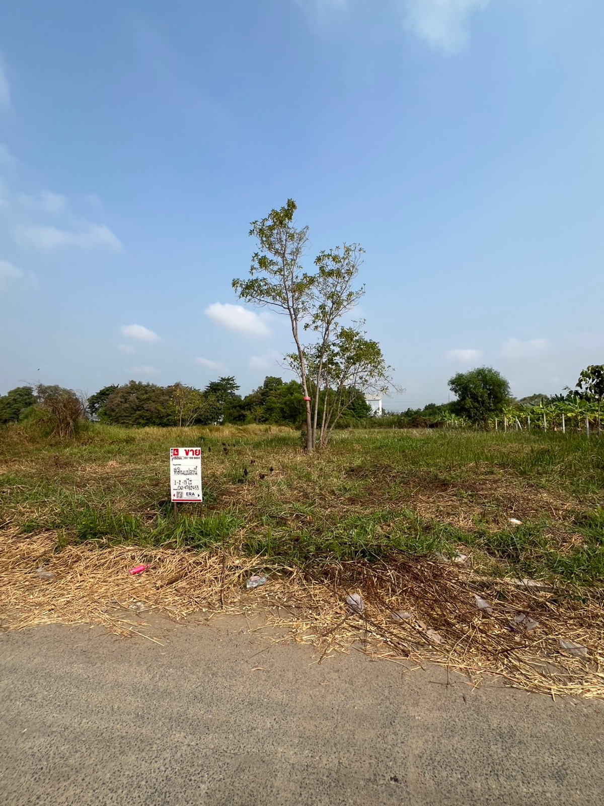 ขายที่ดินปทุมธานี รังสิต ธรรมศาสตร์ : ขายที่ดินถมแล้ว 1-2-19 ไร่ โครงการเวิลด์คลับแลนด์ ถนนคลองหลวง ต.คลองสาม อ.คลองหลวง ปทุมธานี ราคา 9,285,000 บาท