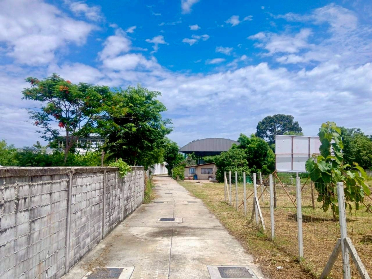 ขายที่ดินพัทยา บางแสน ชลบุรี สัตหีบ : ผืนใหญ่ เกือบ 1 ไร่ หลังวัดกระทิงลาย เงียบสงบ 🔥 ที่ดิน 379 ตร.วา กระทิงลาย / (ขาย), Land 379 sq.wah Krating Lai / (FOR SALE) BEWN039