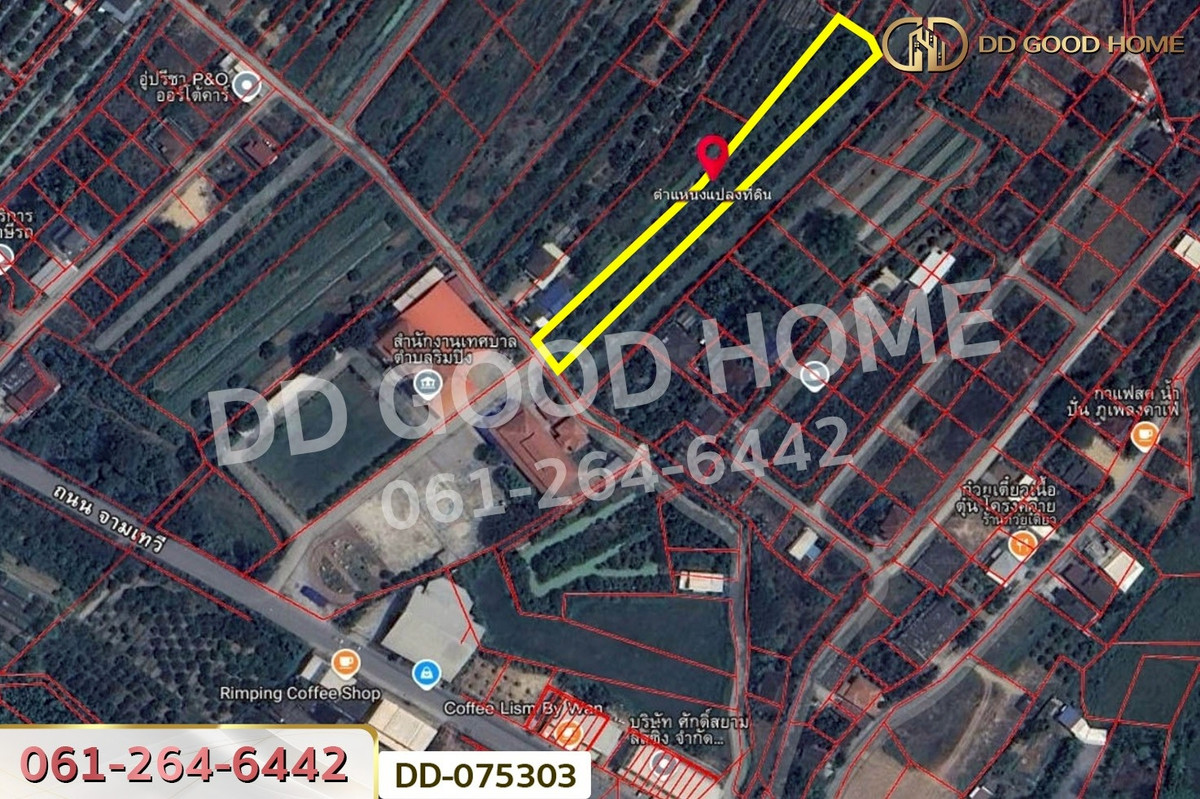 ขายที่ดินลำพูน : DD-075303 ที่ดินริมปิง 2 ไร่ 116 ตร.ว. ลำพูน ใกล้วัดพระธาตุหริภุญชัย วรมหาวิหาร